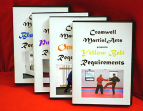 Yellow Belt Martial Arts DVD